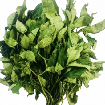 Local /Native Leaves