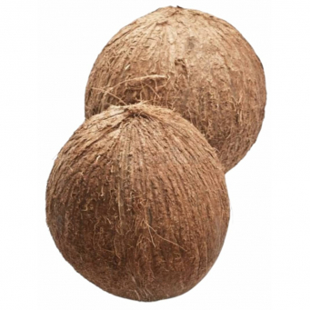 Coconut