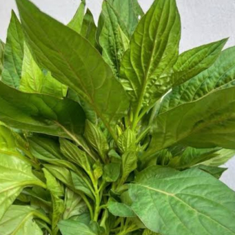 Local /Native Leaves