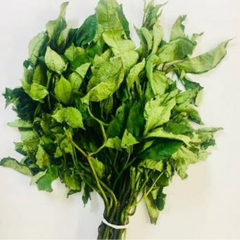 Local /Native Leaves