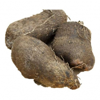Yam (White Yam, Abuja Yam, Ghana Yam, Pounded Yam Variety)