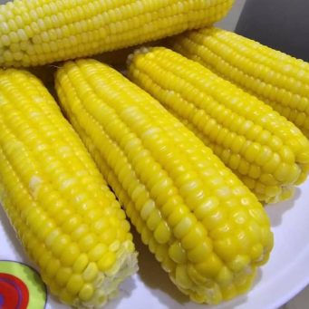 Sweet Corn