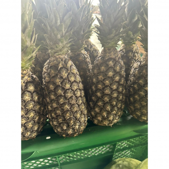 Pineapple