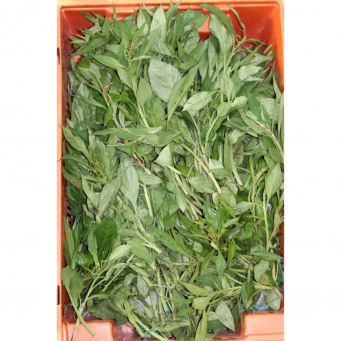 Local /Native Leaves