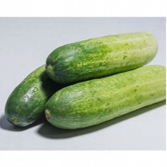 Common Vegetables 