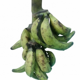 Plantain (Unripe) 