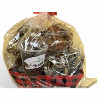 Protein (Meat, Fish & Egg)