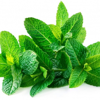 Mint leaf 