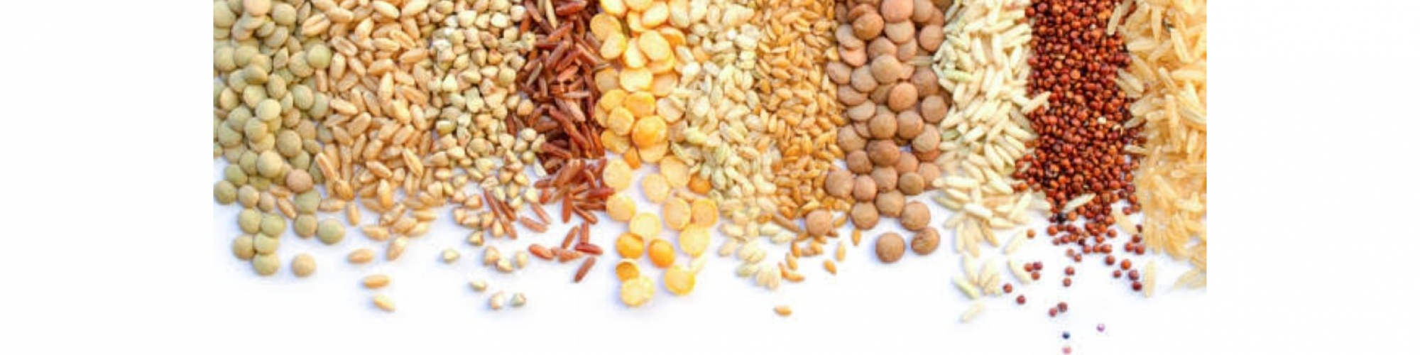 Grains, Beans & Legumes
