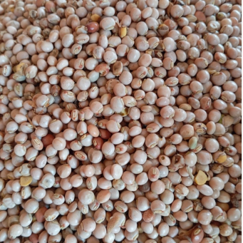 Grains, Beans & Legumes