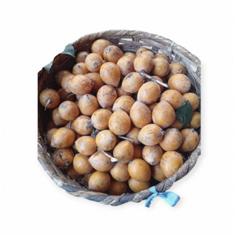 African Star Apple (Agbalumo / Udara)