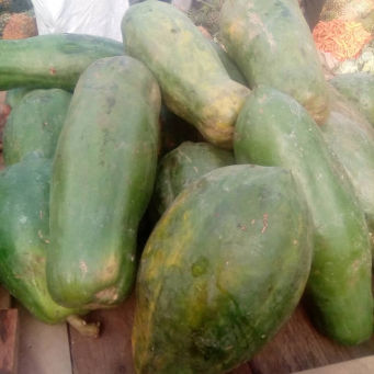 Pawpaw