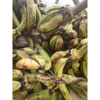 Plantain (Unripe) 