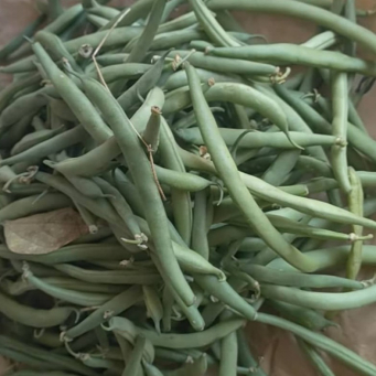 Runner Beans