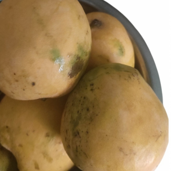 Mango