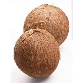 Coconut