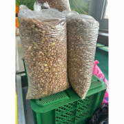 Unpicked Olotu Beans (One Paint) #SakiOladeAjanoaku