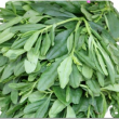 Local /Native Leaves