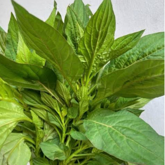 Local /Native Leaves