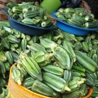 Ground Okra