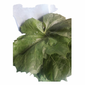 Local /Native Leaves