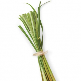 Local /Native Leaves