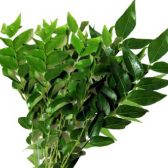 Exotic Vegetables  