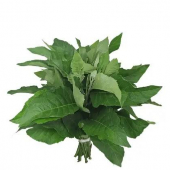 Local /Native Leaves