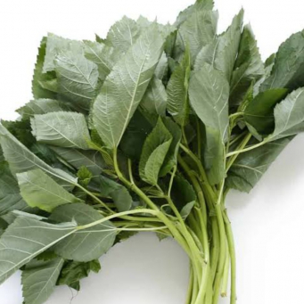Local /Native Leaves