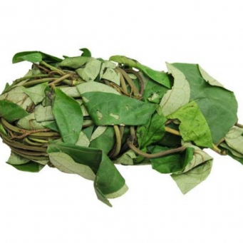 Local /Native Leaves