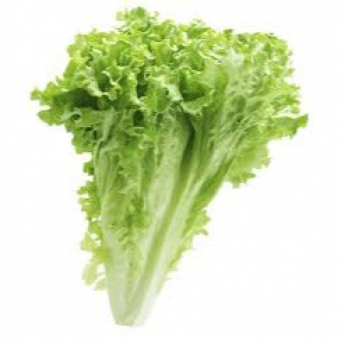 Exotic Vegetables  