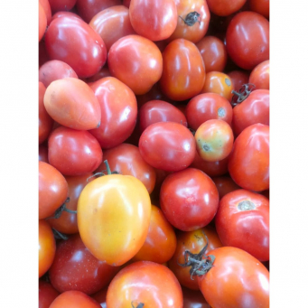 Tomatoes