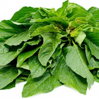 Common Vegetables 