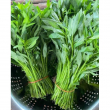 Common Vegetables 
