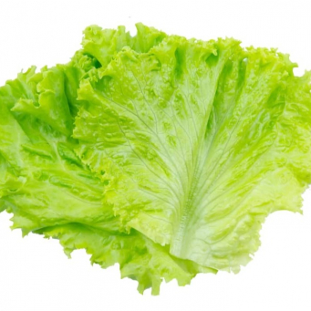 Common Vegetables 
