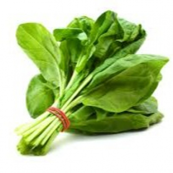 Common Vegetables 