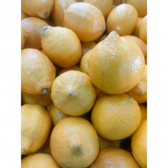 Lemon 