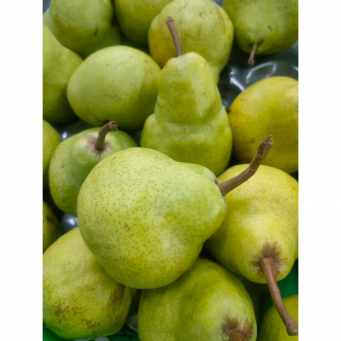 English Pear