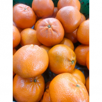 Clementine