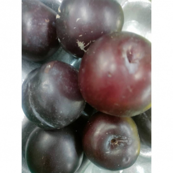 Plum 