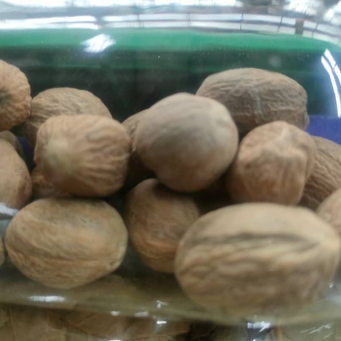 Nutmeg