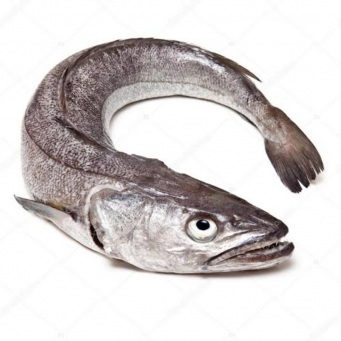 Fish / Seafoods