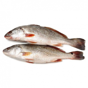 Fish / Seafoods