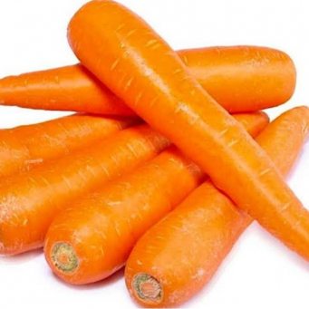 Carrot