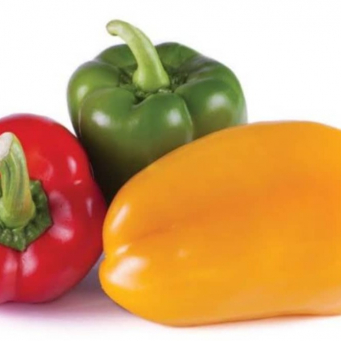 Pepper 