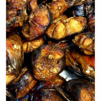 Fish / Seafoods