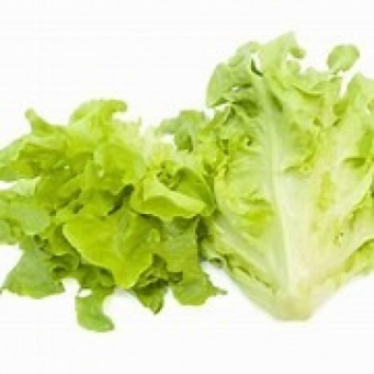 Common Vegetables 