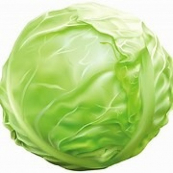 Common Vegetables 