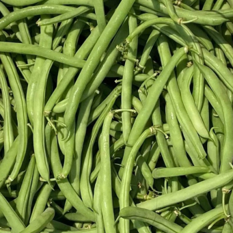 Grains, Beans & Legumes