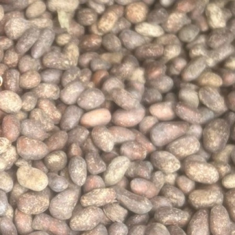 Spices, Seasonings & Condiments